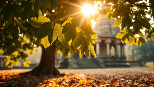 La Signification de l'Arbre de Bodhi