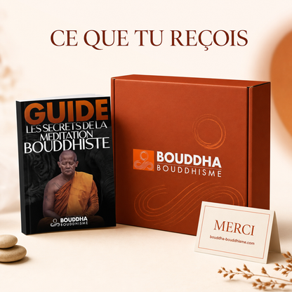 Livre Méditation | Les secrets des maîtres bouddhistes : packaging concept (non contractuel)