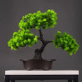 Bonsai Artificiel Pin Wolong