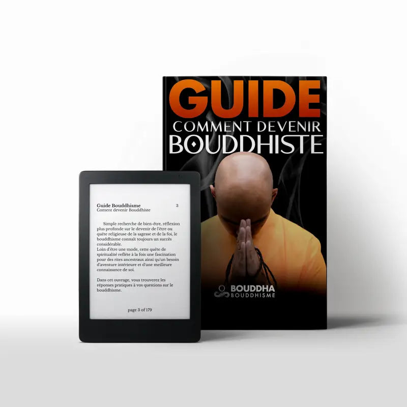 Guide initiation bouddhisme - présentation des traditions Théravâda et Mahâyâna