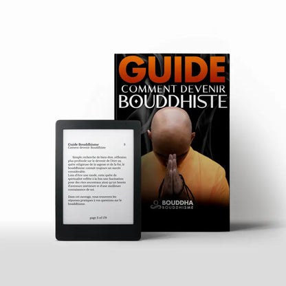 Guide initiation bouddhisme - présentation des traditions Théravâda et Mahâyâna